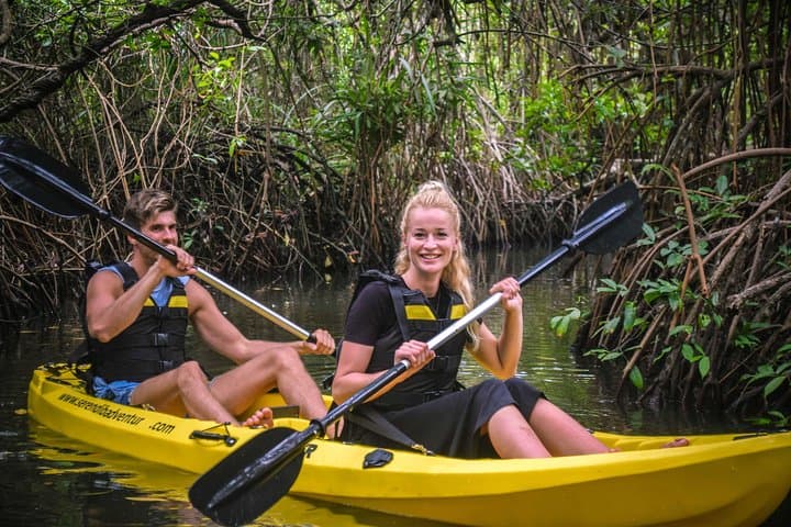 Sunrise Mangrove Kayaking on Madu River: Colombo Day Trip