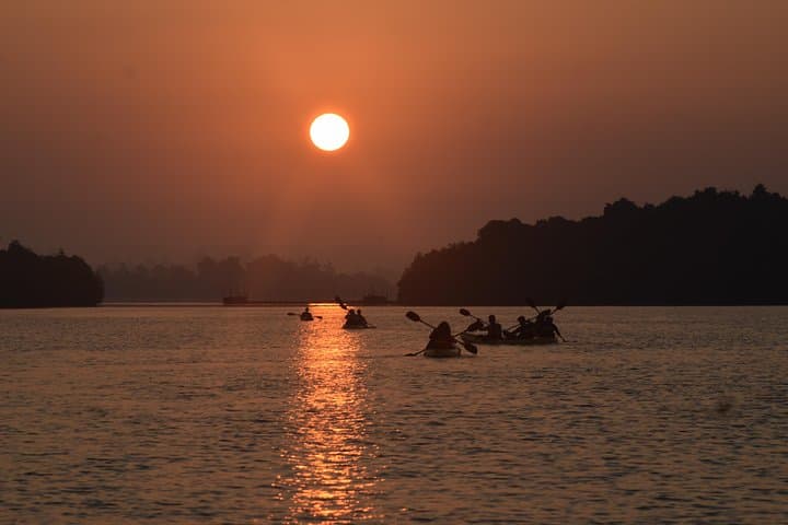 Sunrise Mangrove Kayaking on Madu River: Colombo Day Trip photo 6