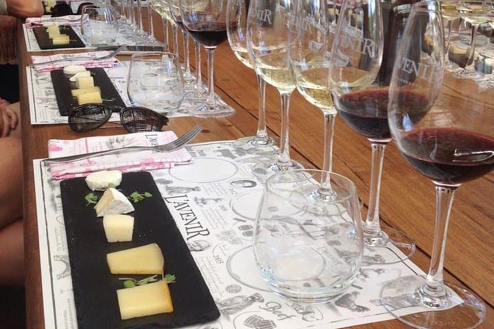 Daily Different Small-Group Wine Tour from Stellenbosch — Boutique Estates & Tastings