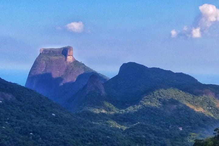 Tijuca Forest Trail Running Tour — 14km Alto da Boa Vista Run in Rio de Janeiro photo 2