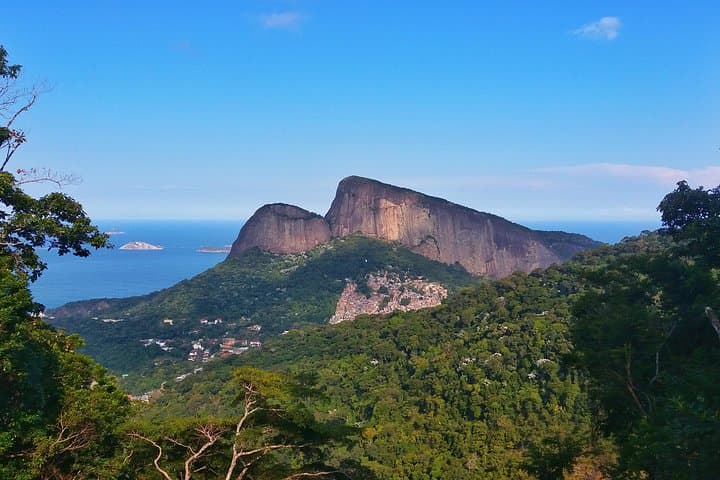 Tijuca Forest Trail Running Tour — 14km Alto da Boa Vista Run in Rio de Janeiro photo 5
