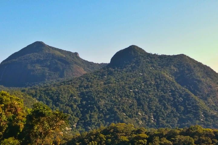 Tijuca Forest Trail Running Tour — 14km Alto da Boa Vista Run in Rio de Janeiro photo 6