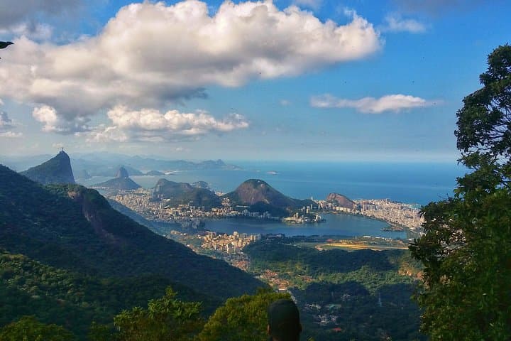 Tijuca Forest Trail Running Tour — 14km Alto da Boa Vista Run in Rio de Janeiro