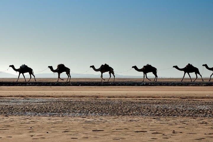 3-Day Danakil Depression Tour via Semera — Erta Ale, Dallol & Afdera Salt Flats photo 6