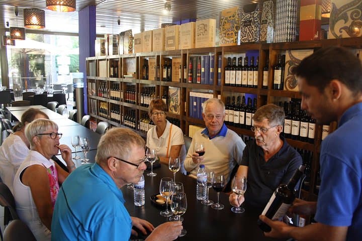 Private Arrabida Park and Lisbon Wine Tasting Tour: Christ the King, Bacalhoa & Vineyard Tasting photo 6