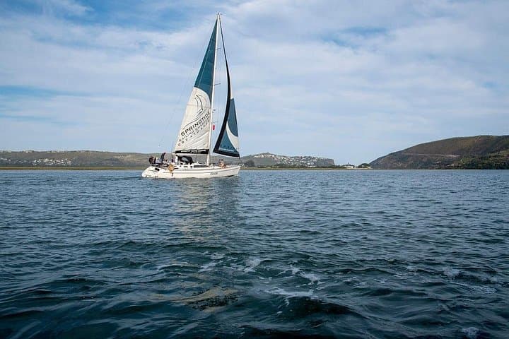 Knysna Day Sail & Lunch: 2.5-Hour Lagoon-to-Sea Charter photo 5