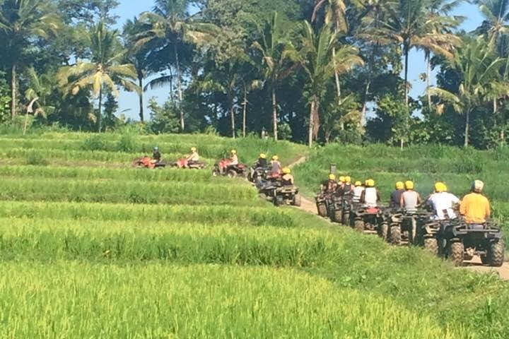 Ubud ATV Jungle Track: Quad-Bike Through Rice Fields, Rivers & Villages photo 6