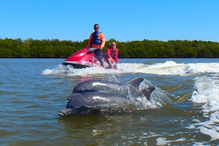 Jet-Ski Dolphin Tour in the Ten Thousand Islands — 2-Hour Wildlife Ride from Marco Island