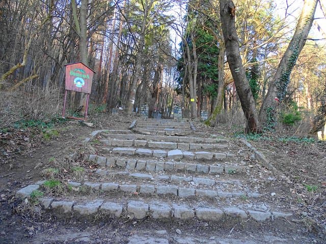 Day Hike to Boyana Waterfall and Vitosha's Wild Slopes from Sofia photo 6