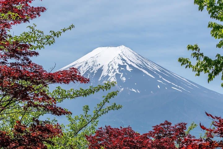 Tokyo to Hakone Day Trip: Private Guided Tour to Lake Ashi, Hakone Shrine & Onsens photo 6