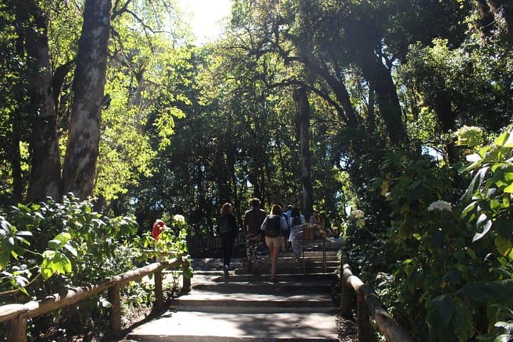 Doi Inthanon Day Trip from Chiang Mai: Summit, Stupas & Waterfalls photo 4
