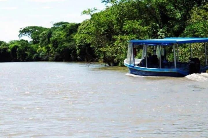 Palo Verde River Jungle Safari: Tempisque Boat Tour from Liberia photo 2