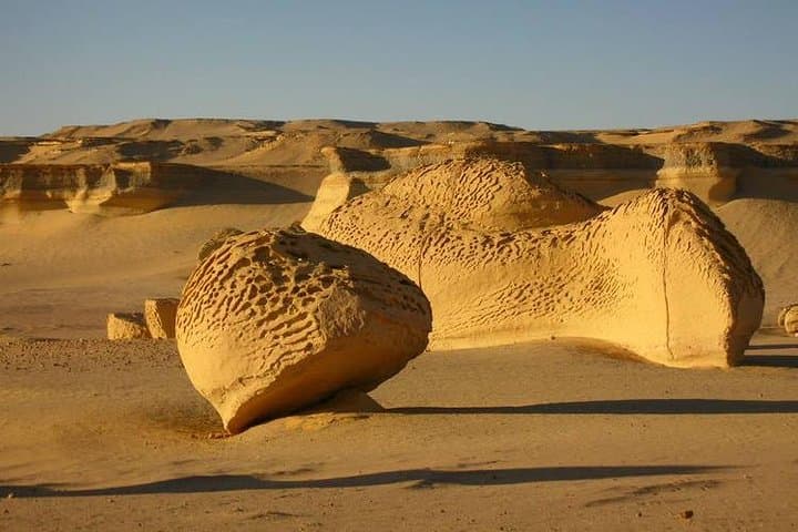 Full-Day Tour from Cairo to Al Fayoum: Lake Qarun, Water Wheels & Wadi El Rayan photo 5