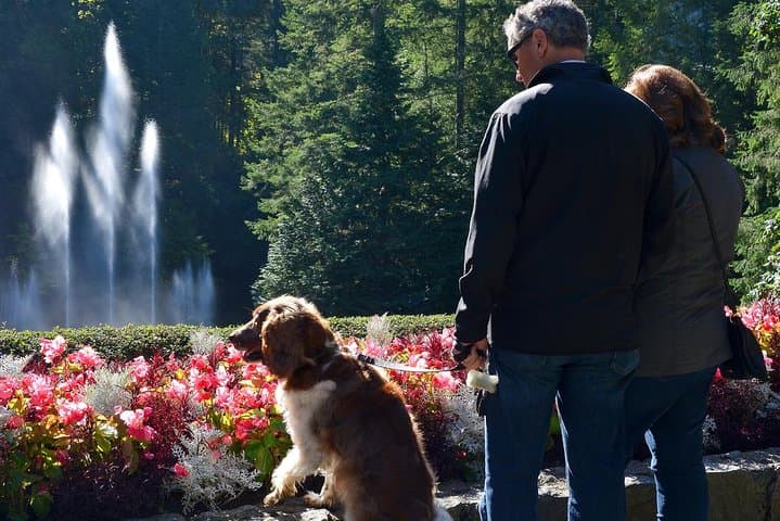 Victoria and Butchart Gardens Day Trip with Gulf Islands Ferry from Vancouver photo 4