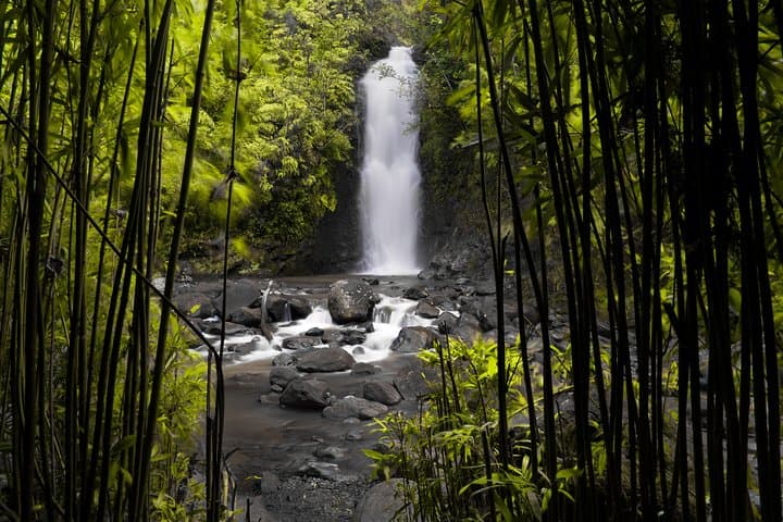 Maui Loop Road to Hana: Self-Guided Audio Drive to Hana’s Hidden Backroads photo 6