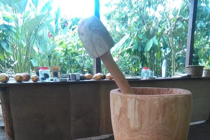 Chocolate, Coffee & Sugar Cane Tour in La Fortuna — Farm-to-Table Tastings & History