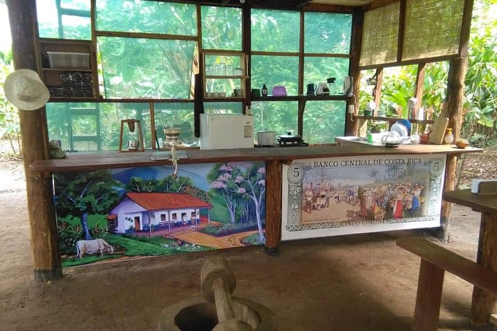 Chocolate, Coffee & Sugar Cane Tour in La Fortuna — Farm-to-Table Tastings & History photo 2