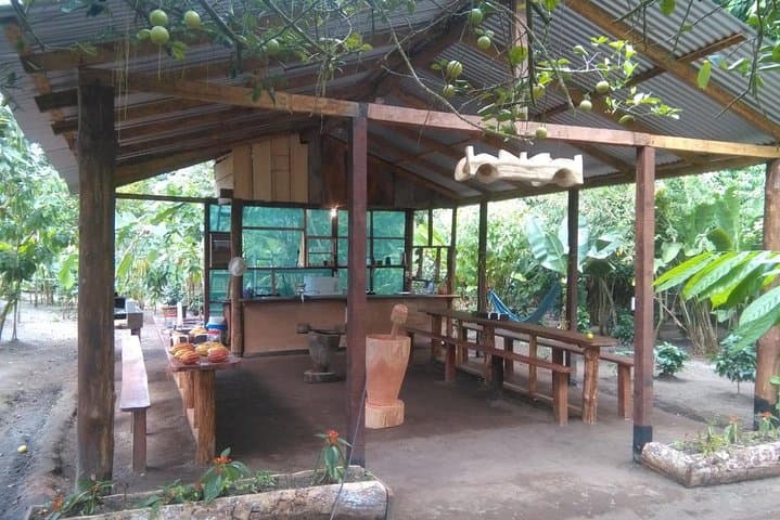 Chocolate, Coffee & Sugar Cane Tour in La Fortuna — Farm-to-Table Tastings & History photo 3