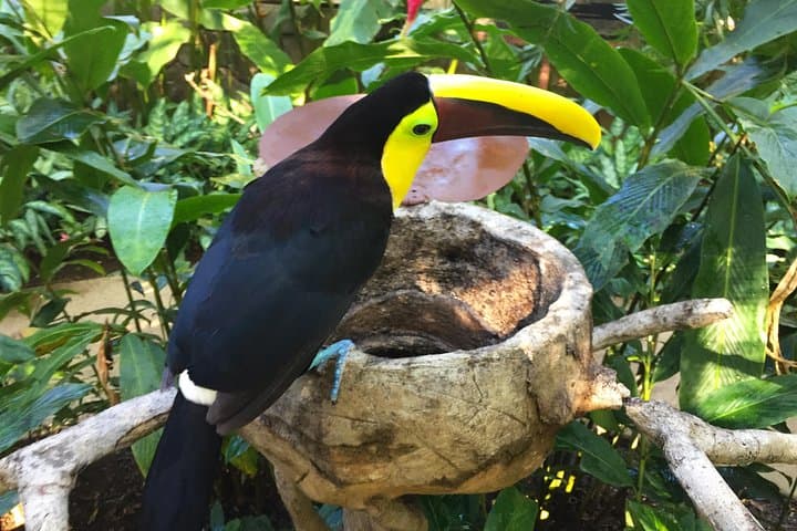 Beach, Mountain & Sloth Refuge ATV Tour — Guanacaste Off‑Road Wildlife Adventure photo 2
