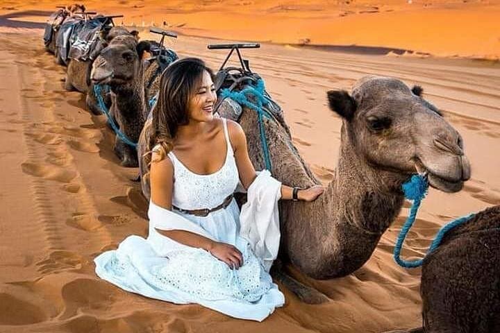 Overnight Desert Adventure From Fez to Merzouga — Camel Trek & Erg Chebbi Camp photo 1