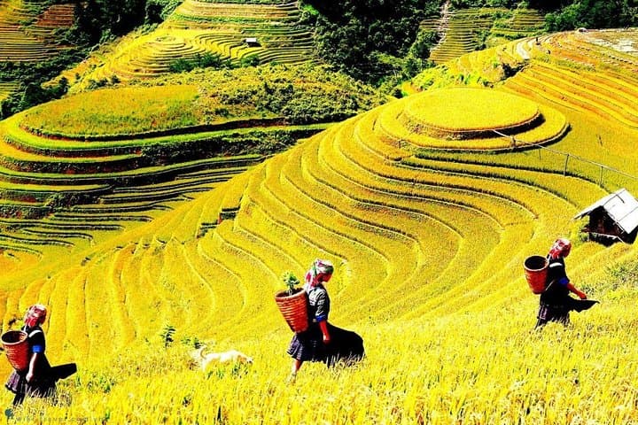 Sapa 2-Day Trek with Homestay: Ta Van & Giang Ta Chai Rice-Terrace Route