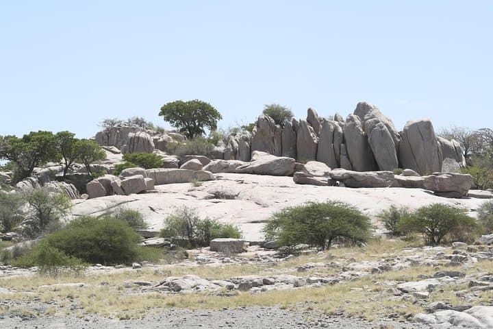 6-Day Nxai Pan Salt Pan Safari & Baobab Cultural Tour photo 3