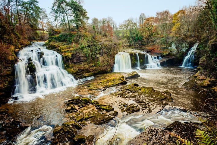Falls of Clyde Waterfall Hike — World Heritage Reserve Walk from Lanark
