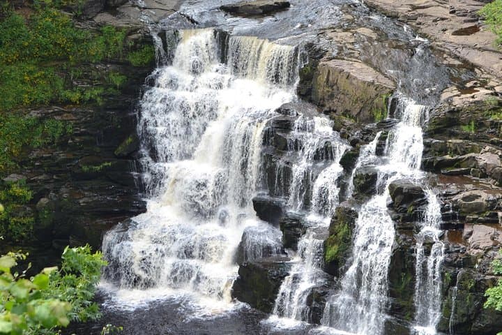 Falls of Clyde Waterfall Hike — World Heritage Reserve Walk from Lanark photo 2