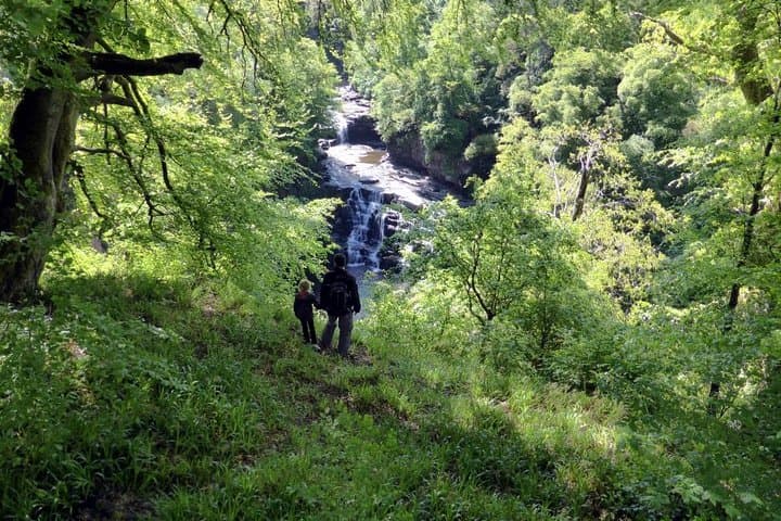 Falls of Clyde Waterfall Hike — World Heritage Reserve Walk from Lanark photo 5