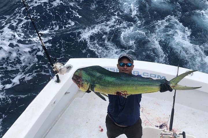 Deep Sea Fishing in Turks and Caicos: The Ultimate 6-Hour Private Charter Experience photo 4