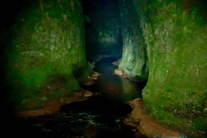 Night Hike to the Devil's Glen: A Guided Walk Through Scotland's Shadowed Gorge photo 2