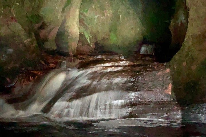 Night Hike to the Devil's Glen: A Guided Walk Through Scotland's Shadowed Gorge photo 4