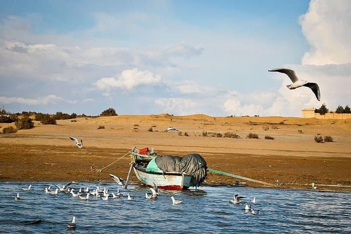 Fayoum Oasis and Wadi El-Rayan Full-Day Tour from Cairo — Lakes, Waterfalls & Birdlife photo 2