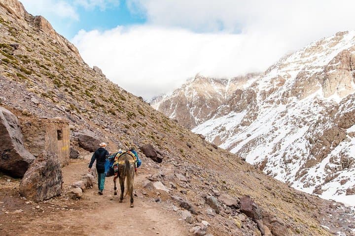 Atlas Mountains Day Hike from Marrakech: Imlil, Berber Villages, Camel Ride & Lunch photo 1