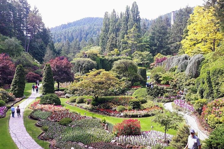 Private Butchart Gardens & HCP Tour — Early-Arrival Garden Experience in Victoria photo 3