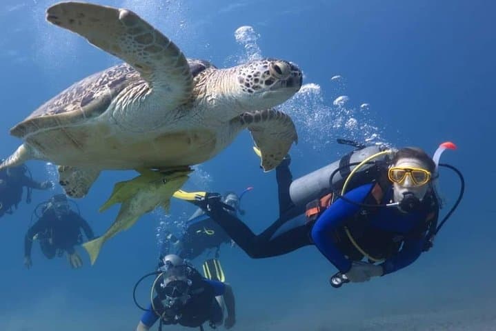 Hurghada Diving: Red Sea Boat Dives from Hurghada