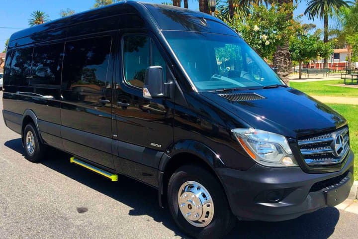 Private Road to Hana in a Luxury Mercedes Sprinter — Custom Maui Transport photo 2