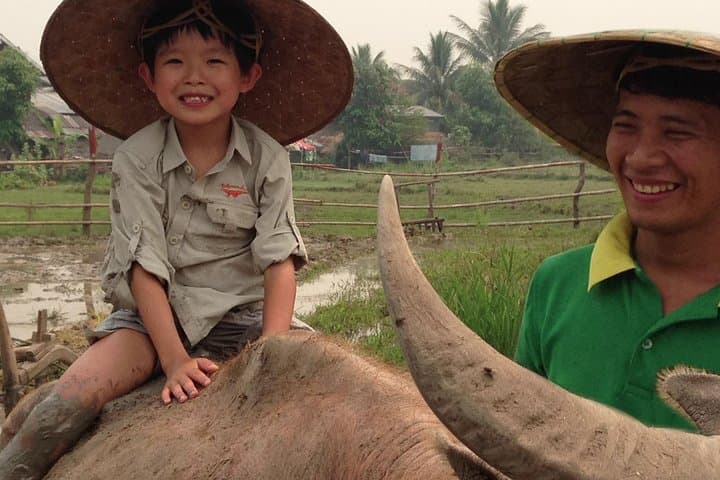 Half-Day Rural Farm Experience Near Luang Prabang with Traditional Lunch photo 4