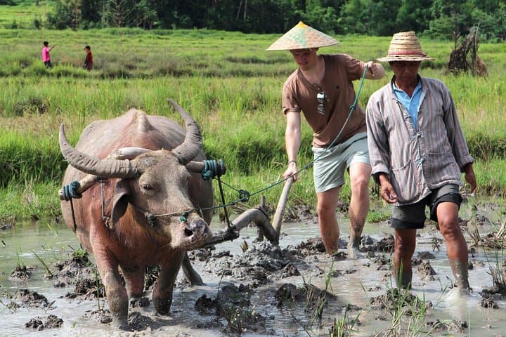 Half-Day Rural Farm Experience Near Luang Prabang with Traditional Lunch