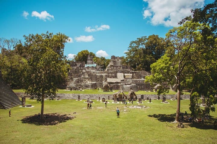 Tikal Day Trip from Guatemala City - Temples, Monkeys & Jungle Views photo 3