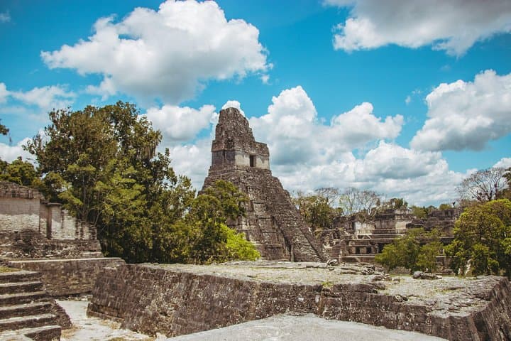 Tikal Day Trip from Guatemala City - Temples, Monkeys & Jungle Views photo 4