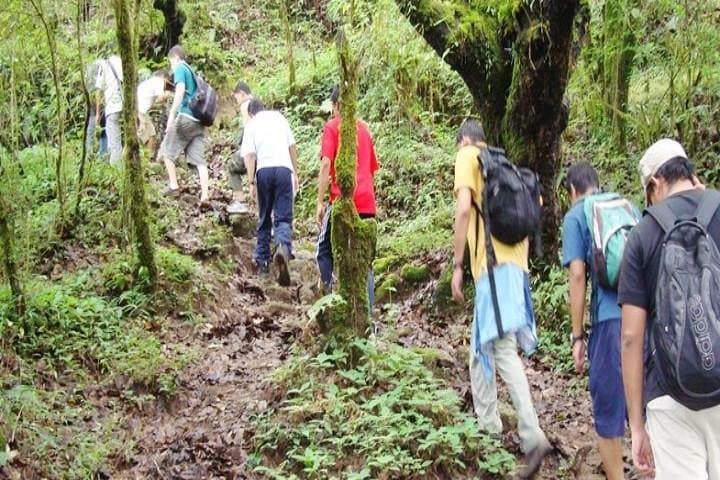Private Day Hike to Shivapuri: Nagi Gumba to Shivapuri Peak photo 3