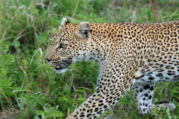 3-Day Tarangire, Ngorongoro & Lake Manyara Safari (From Arusha) photo 2