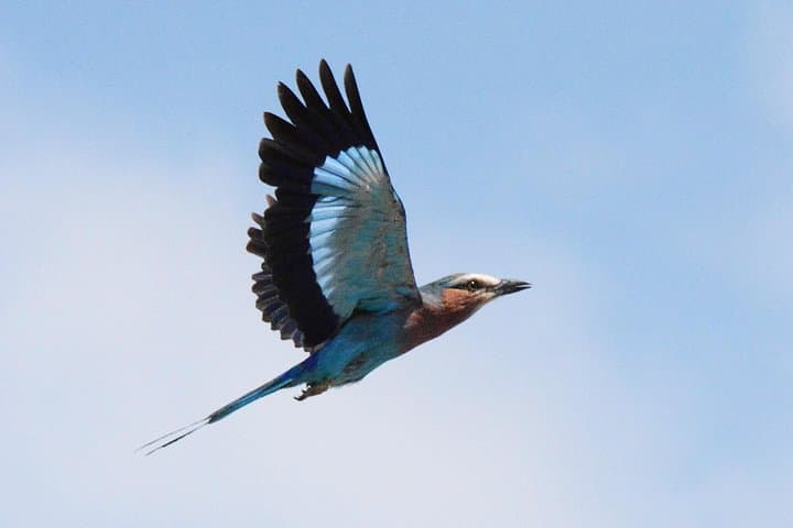 3-Day Tarangire, Ngorongoro & Lake Manyara Safari (From Arusha) photo 3