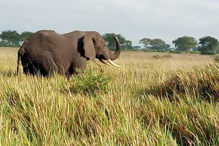3-Day Mount Elgon & Sipi Falls Hiking Safari from Kampala photo 6
