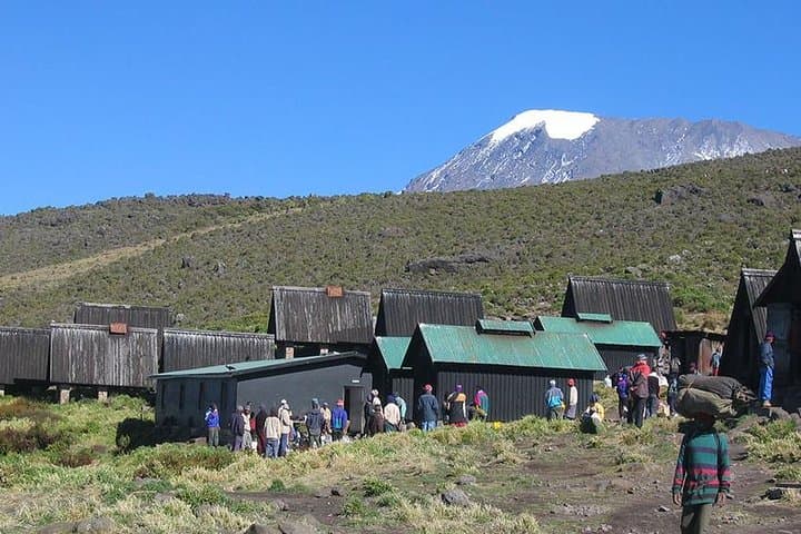Mount Kilimanjaro Day Hike: Marangu Gate to Mandara Hut Sneak Peek photo 5