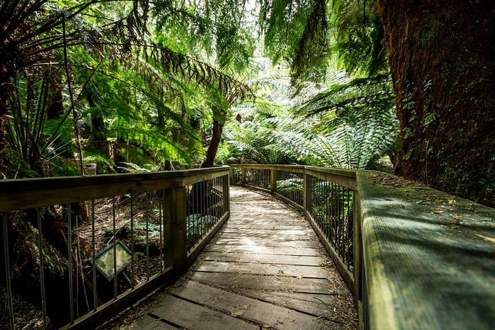 Melbourne to Adelaide 3-Day Ocean to Mountains Great Ocean Road and Grampians Tour photo 4