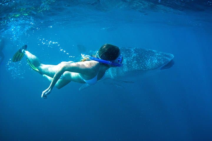 Coral Coaster: 6-Day Perth to Exmouth Adventure through Pinnacles, Monkey Mia & Ningaloo photo 4