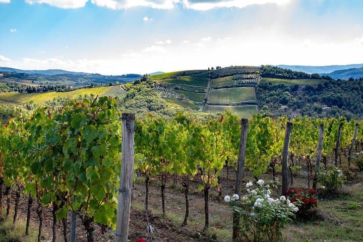 Off-Road Chianti Wine Safari from Florence: 4x4 Tuscan Wine Tours photo 2