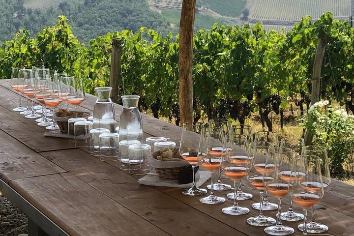 Off-Road Chianti Wine Safari from Florence: 4x4 Tuscan Wine Tours photo 6